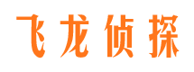 张湾市调查公司